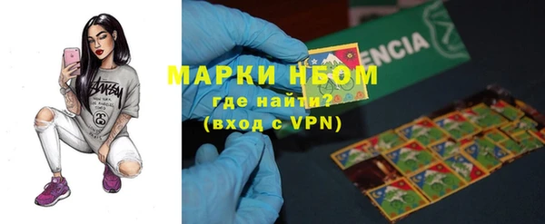 apvp Алзамай