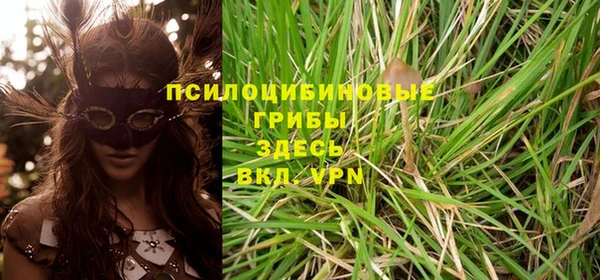 apvp Алзамай